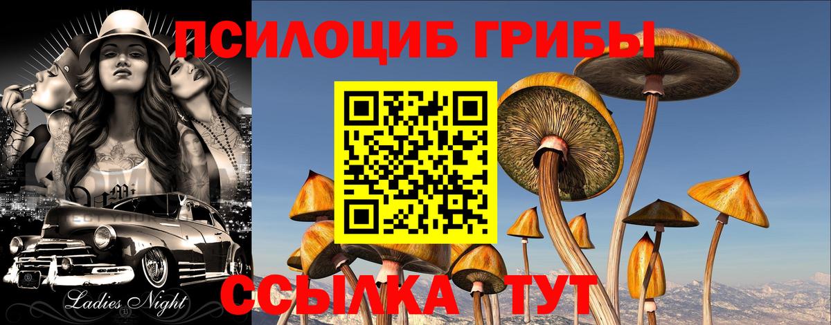 Псилоцибиновые грибы MAGIC MUSHROOMS Десногорск