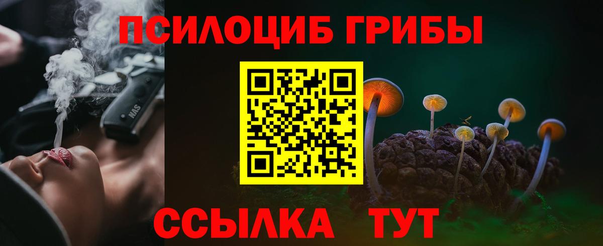 Псилоцибиновые грибы мухоморы  Галлюциногенные грибы Psilocybine cubensis  купить наркотик  Десногорск  Вход с VPN 